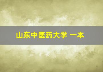 山东中医药大学 一本